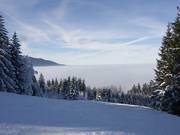 Discesa per famiglie sopra la nebbia