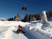 Suggerimento per i più piccoli 