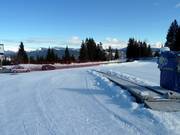 Tappeto gratuito a Fiorentini