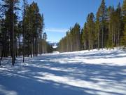 Pista Yellow Brick Road