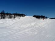 Pista di esercitazione Tussebakken