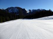 Facile pista Dreitannenhang