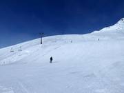 Pista larga n. 3 Wilder Mann