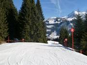 Discesa a valle dal Walmendingerhorn