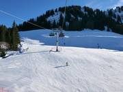 Piste presso la seggiovia a 6 posti Schrattenwang