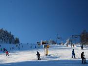 Media difficoltà: pista presso la seggiovia Oberer Wilddieblift