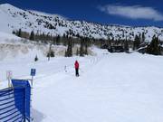 Alta Lodge Tow - Manovia/Babylift a fune bassa