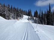Piste da fondo nel SilverStar Mountain Resort
