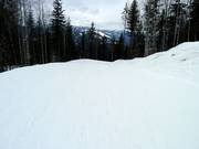 Pista facile The Last Spike