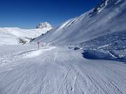 Kogel-Mogel percorso ondulato