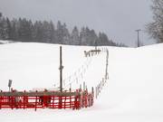 Übungslift Sinswang 1 - Manovia/Babylift a fune bassa