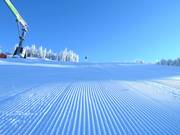 Pista appena preparata