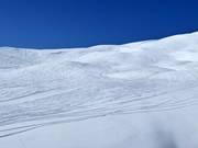Pendii di neve fresca sul Lauberhorn