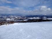 Ampia pista Steamboat B