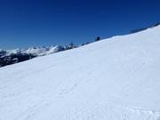 Ottima preparazione delle piste