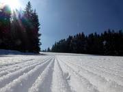 Ottima preparazione delle piste