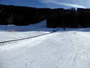 Pista pratica con tappeto Dosson