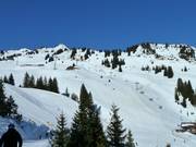 Vista dal centro verso l'alto