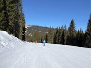 Pista facile Pozza Vecia