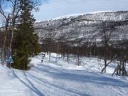 Suggerimento per i più piccoli 