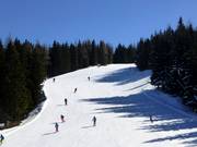 Discesa libera femminile dei Mondiali sulla Planai