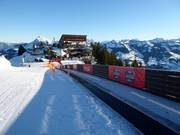 Starthaus - Tapis roulant/Tappeto Magico