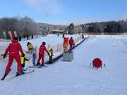 Fox park pás F1 - Tapis roulant/Tappeto Magico