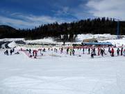 Suggerimento per i più piccoli 