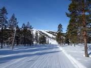 Pista facile a Östra Tandådalen