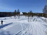 Piste facili presso il Trolliften