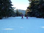 Discesa presso lo skilift Predigtstuhl II