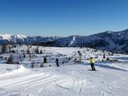 Piste panoramiche in vetta