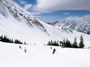 Pista presso la seggiovia Collins