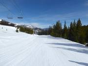 Pista facile Pony Express