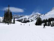 Pista facile presso la seggiovia Sunnyside