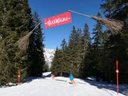 Suggerimento per i più piccoli 