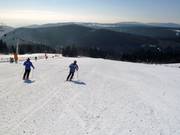 Pista 18: Neklid - Moser