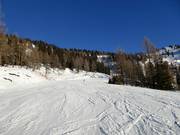 Discesa blu in direzione Gloneralm Flachauwinkl