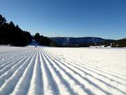 Pista perfettamente preparata nell’area sciistica Les Angles