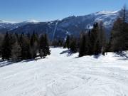 Discesa per famiglie Moserkopf