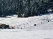 ÜL Tal - Manovia/Babylift a fune bassa