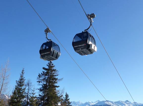 Barzettes-Marolires-Violettes (Violettes Express)