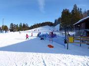 Suggerimento per i più piccoli 