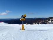 Cannone da neve ad alte prestazioni al Mt. Hotham