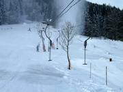 Wanklift I - Skilift a piattello