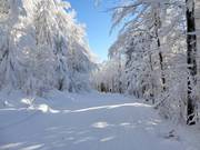 Facile pista di collegamento verso Mitterfirmiansreut