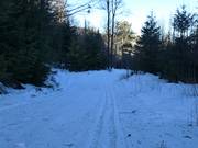 Pista da fondo al Geißkopf
