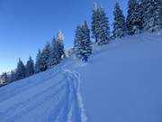 Itinerario sciistico Ochsenalpe