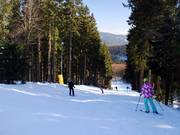 La Kappe offre anche discese tra i boschi facili e di media difficoltà.