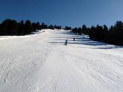 Discesa sportiva n. 18